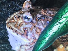 -太平洋海底世界