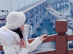 -星海湾跨海大桥