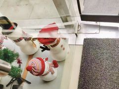 -斯坦星球AI编程·机器人科创·科学实验·信奥·思维·STEM·积木拼搭·竞赛考级(浦东联洋广场大拇指龙阳御桥中心)