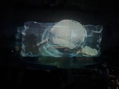 -海合安武汉极地海洋公园