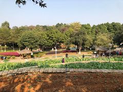 -天河儿童公园