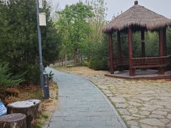-莲花池公园