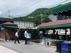 -京北渔家傲