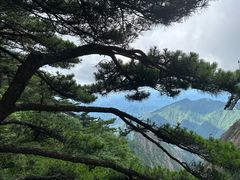 -黄山风景区