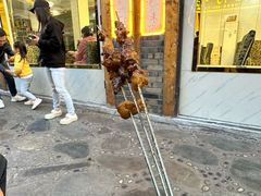 -乳仔牛牦牛汤锅 烤羊排(松潘古城店)