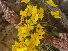 -北京植物园-展览温室