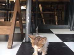 -251#coffee roasters(沿河东路店)