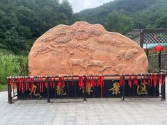 -九龙潭景区