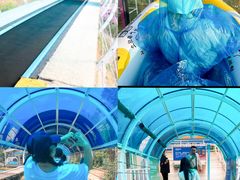 -盈香心动乐园