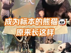 -深圳博物馆历史民俗馆