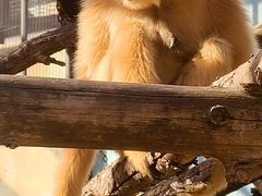 -北京动物园-畅观楼