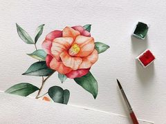 -八哥美术·成人美术画室(总校区)