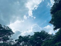 -史努比缤纷世界