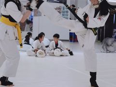 -极真空手道修远道场