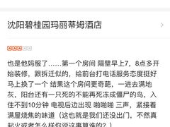 -沈阳于洪碧桂园凤凰酒店
