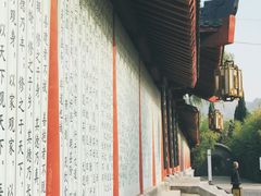 -函谷关历史文化旅游区
