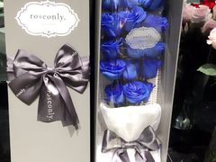 -ROSEONLY诺誓(磐基中心店)