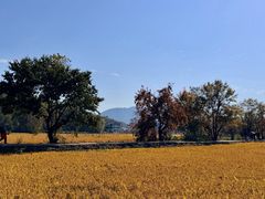 -塔川景区
