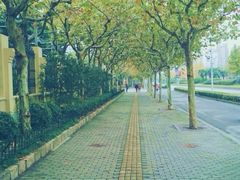 iphone_upload_pic-晋元高级中学附属学校
