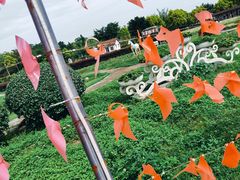 -广东花都香草世界旅游度假区