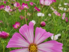 -帽儿山国家森林公园