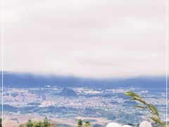 -杨家堂村
