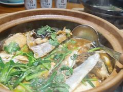 -九道菜有鸡鱼头(石鼓路店)