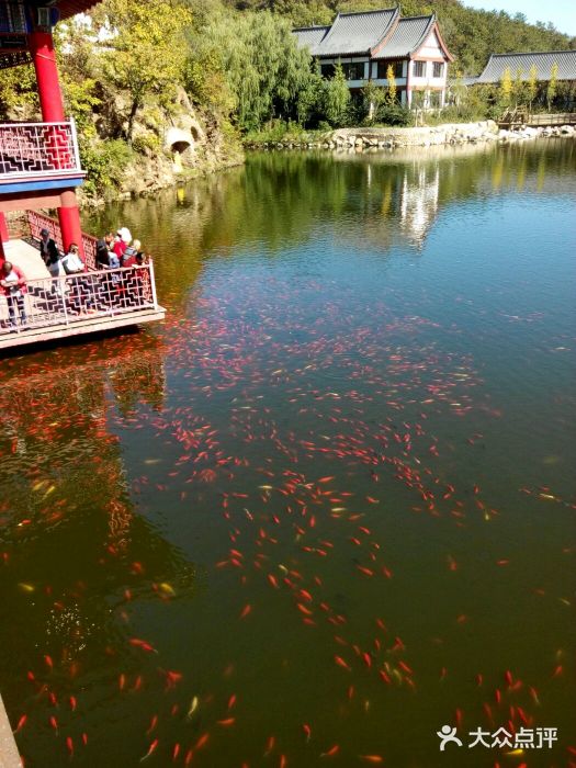 横山寺图片