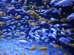 -成都浩海立方海洋公园