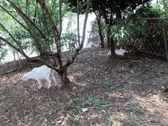 -长兴太湖图影湿地文化园