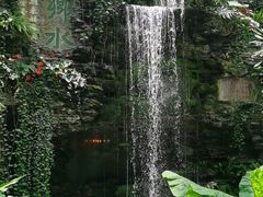 -白天鹅宾馆·流浮阁咖啡厅