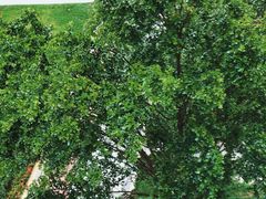 -白沙门生态公园