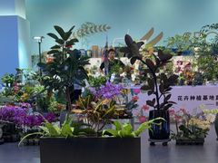 -百荣世贸商城