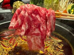 -蜀大侠火锅(总府路店)