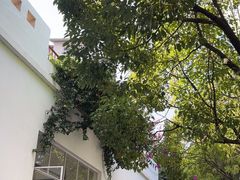 -收获咖啡HARVEST RESERVE(苍山店)