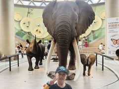 -陕西自然博物馆