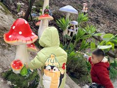 -少华山国家森林公园