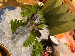 -鮨桐日本料理(望京店)