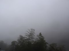 -江南天池