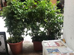 -芳林早餐