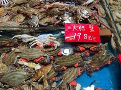 -旺角小渔村·海肠捞饭开创者(环山路店)