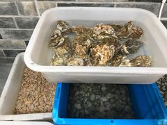 -阿杰臻选海鲜饭店(普陀山店)