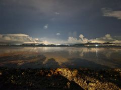 -深圳湾公园(南山区)