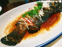 -保定会馆(秀兰店)