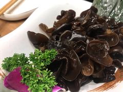 长白山黑木耳-刘一锅筋头巴脑(千峰路店)