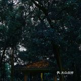 0元广州周边游🌟小众秘境六片山（附机位推荐）