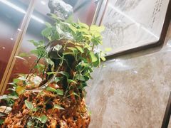 -燕春楼(海河华鼎店)