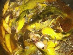 -庆岭迎宾园正宗活鱼馆