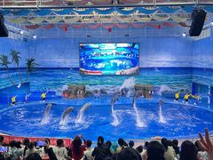 -多彩贵州城极地海洋世界