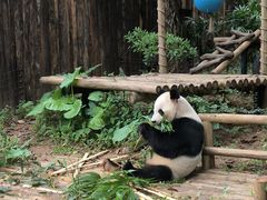 -深圳野生动物园